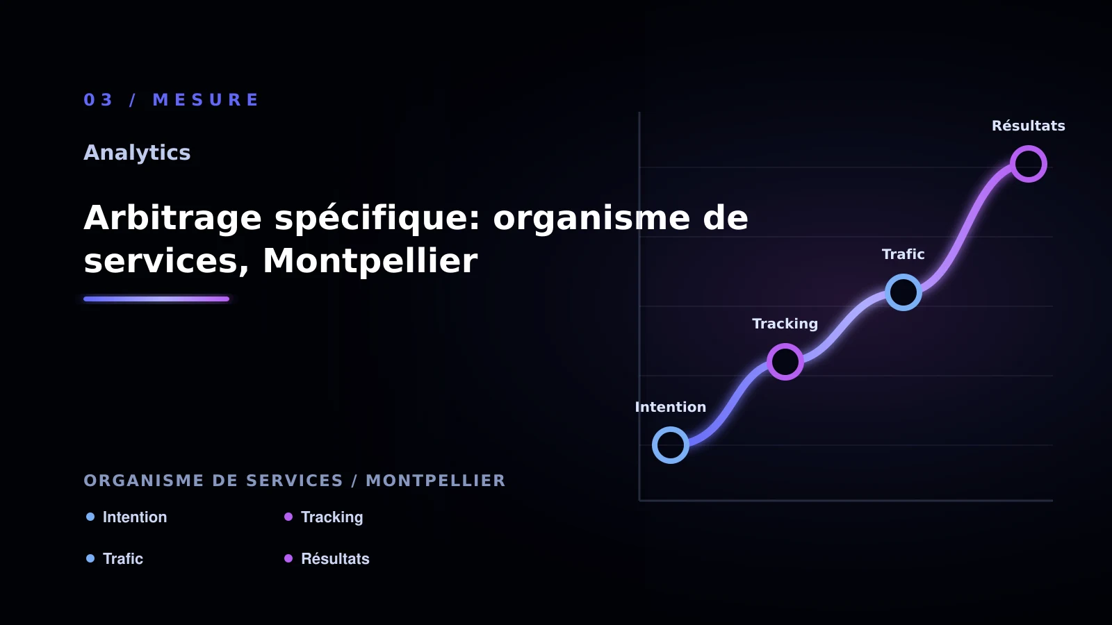 Illustration de arbitrage spécifique: organisme de services, montpellier pour Analytics à Montpellier: choisir la bonne approche