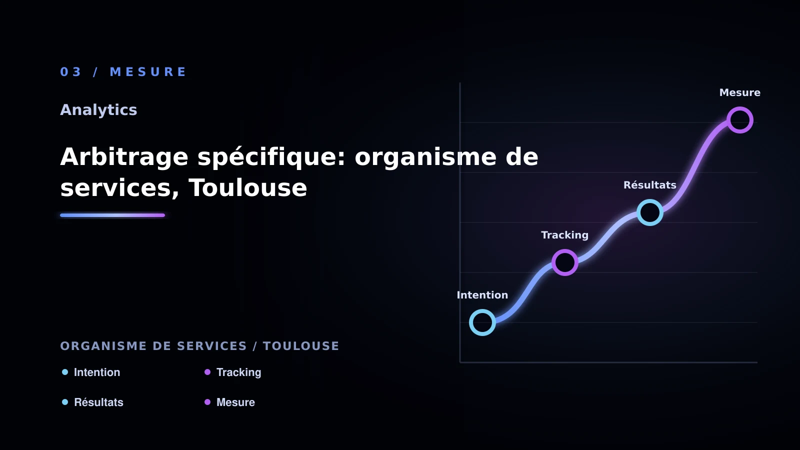Illustration de arbitrage spécifique: organisme de services, toulouse pour Analytics à Toulouse: choisir la bonne approche